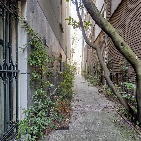 Shenzhou Amsterdam