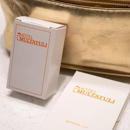 Multatuli Hotel 3*