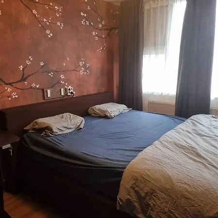 500-mb Hi-tech Silent Work-home Homestay