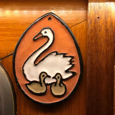 Hotelboot Zwaan
