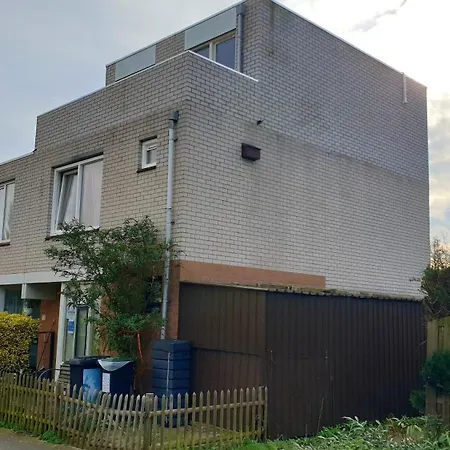 Amor Guesthouse Nocleg ze śniadaniem