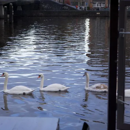 Hotel na wodzie Houseboat Little Amstel *