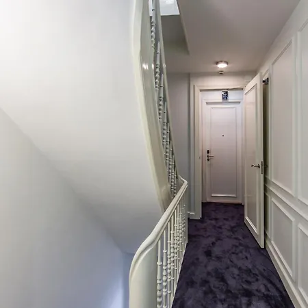 Hotel No. 377 House 3*
