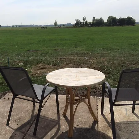 Your Cozy Waggon At The Cows' Paradise * Ámsterdam