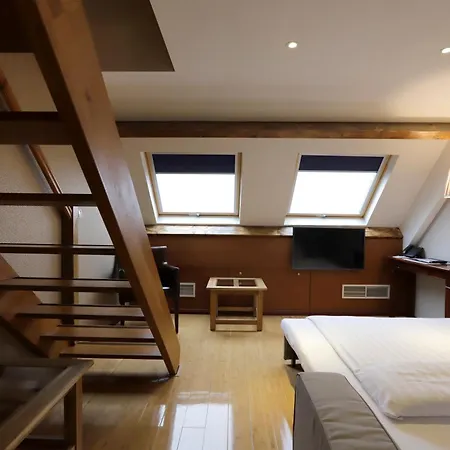 Chasse Hotel 4*