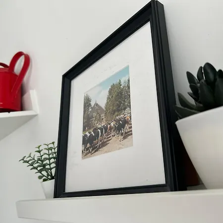 Zunderdorp Bed & Breakfast 2*
