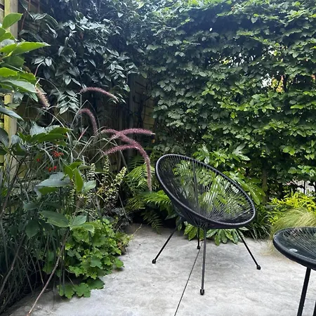 Urban Oasis *