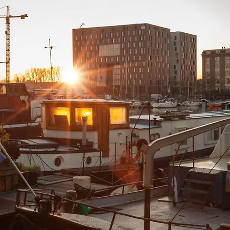 - The Niu, Fender 4* Amsterdam