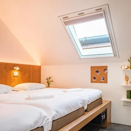 Bunk Auberge de jeunesse *