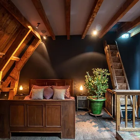 Bed & Breakfast Private And Chique Salon De Franz - With Large Terrace Amsterdam