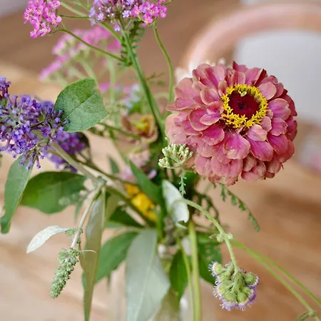 Colorful And Beautiful In The Jordaan! Apartment *