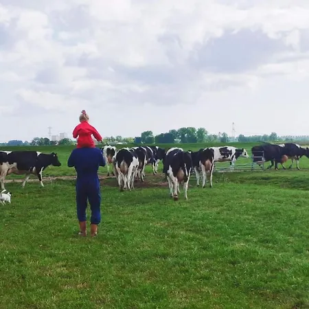 Farmer Farmyard Stays, Sleep Easy, Rural, Explore Kemp *