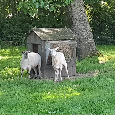 Farmer Farmyard Stays, Sleep Easy, Rural, Explore Kemp Amsterdam