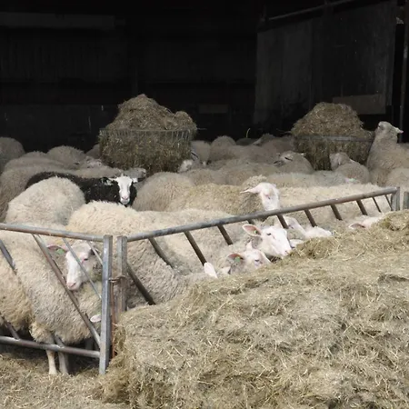 Large On Sheepfarm Bed & Breakfast