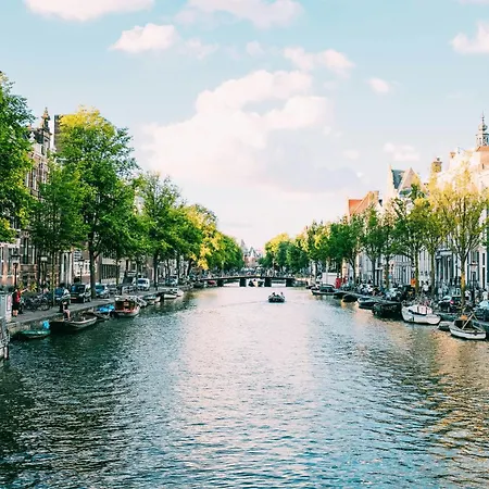 Mai Amsterdam