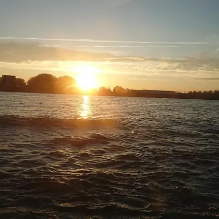 Zwaantje