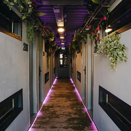 This HoTel *