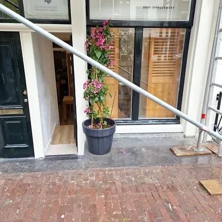 New In The Heart Of Appartement