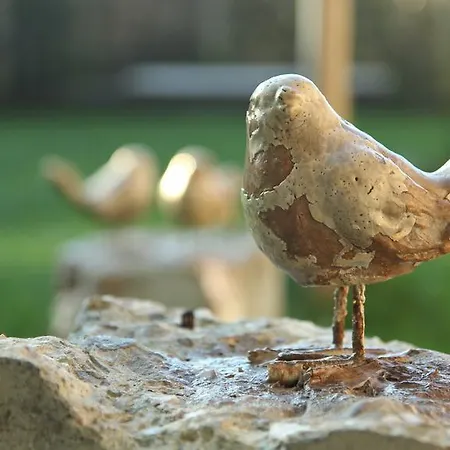Séjour chez l'habitant De Greenhouse Amsterdam