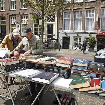 Nova Amsterdam