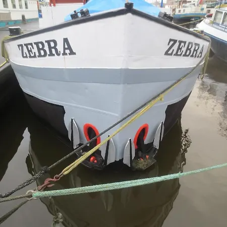 Zebra Άμστερνταμ