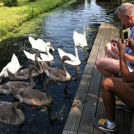 Amsterzonian Bed & Breakfast *