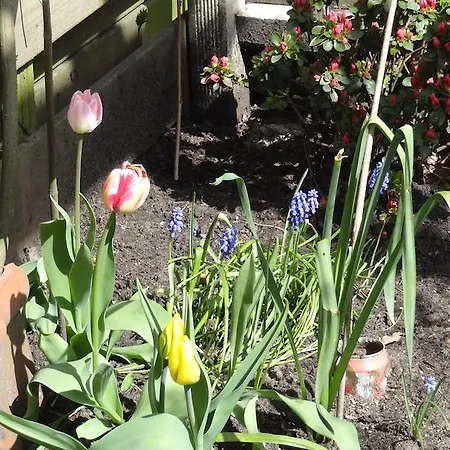 De Noordeling