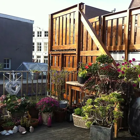 Bed & Breakfast On The Roof 2*