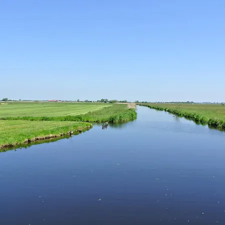 Skaap Waterland Amsterdam