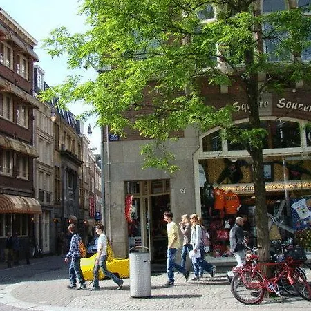 Hotel Rho 3*