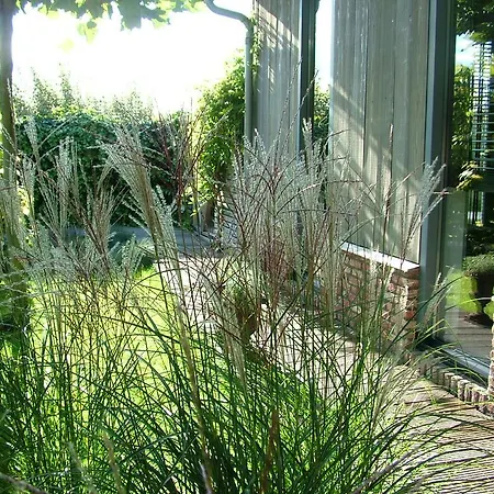 De Greenhouse Pansiyon *