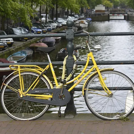 Studio Quaamsterdam Amsterdam