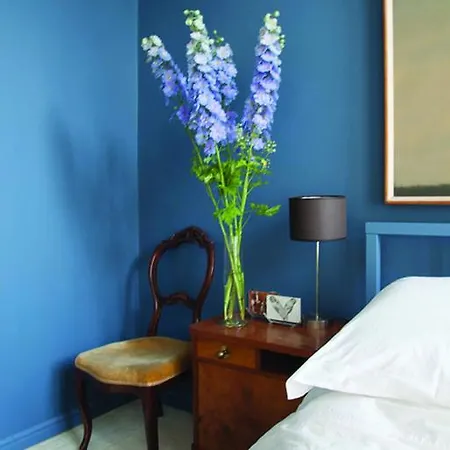 Hidden Gem Guest house Amsterdam