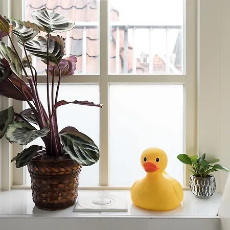 Accommodatie bij particulieren Rembrandt Studio's Amsterdam