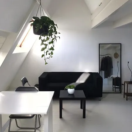 New Bright Studio *