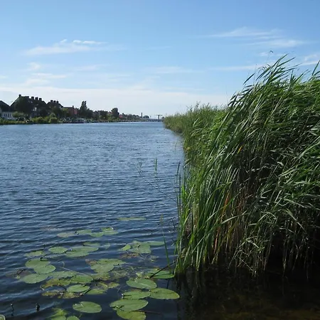 Quarenta Bed & Breakfast Amsterdam