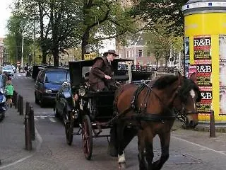 Frühstückspension La Festa