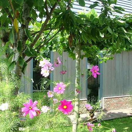 De Greenhouse Pansiyon *