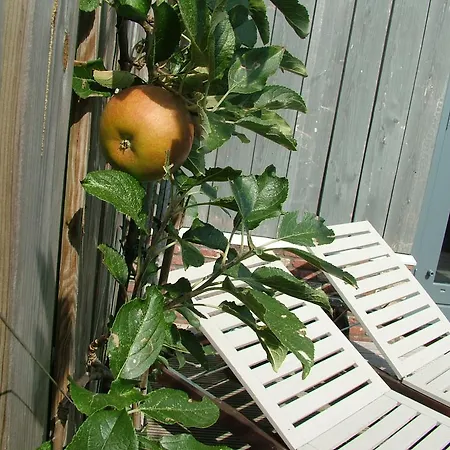 De Greenhouse