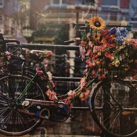 Museum Lane Amsterdam