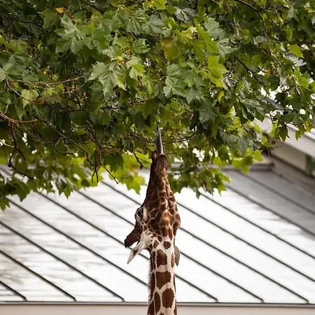 Hotel Quentin Zoo Amesterdão