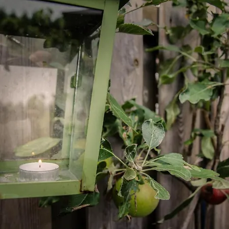 De Greenhouse Pansiyon