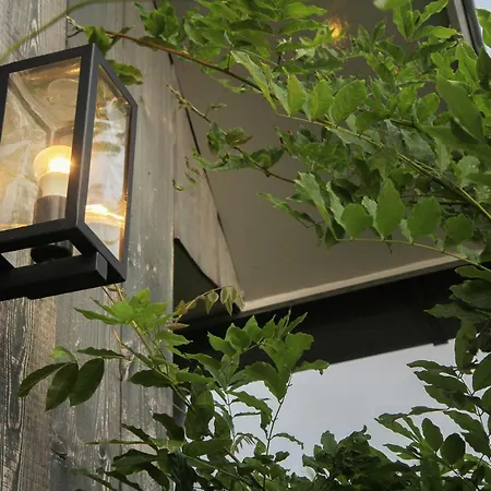 De Greenhouse Pansiyon Amsterdam