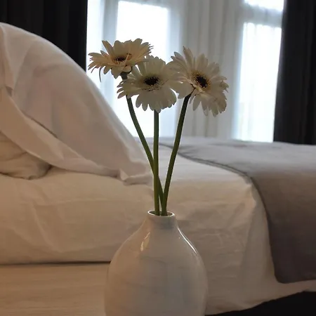 Adam Hotel 4*