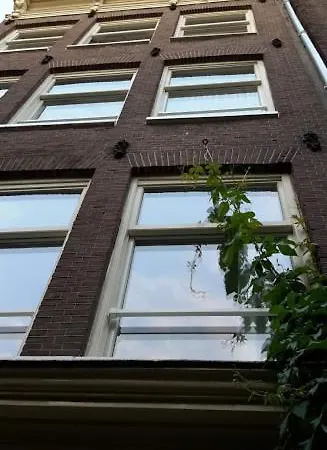 Bed and Breakfast Westviolet 2*