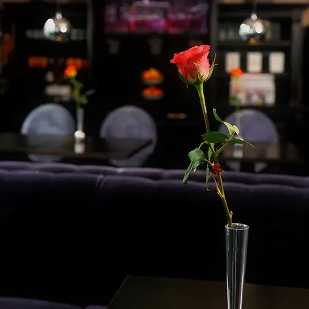Hotel Sint Nicolaas 3*