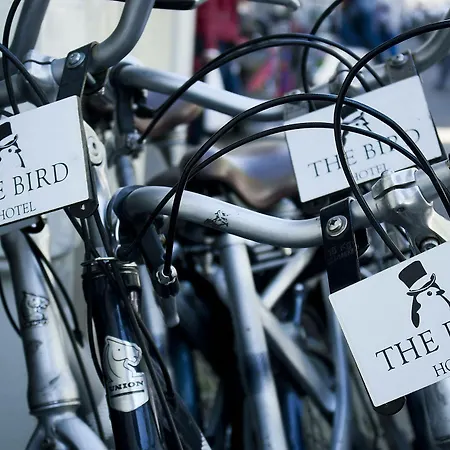 The Bird 3* Amsterdam