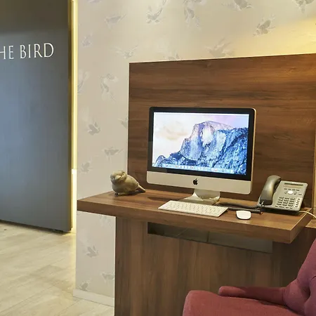 The Bird 3*