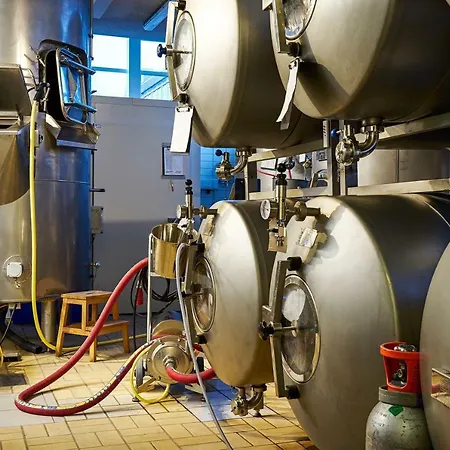 Van Rijn Serviced