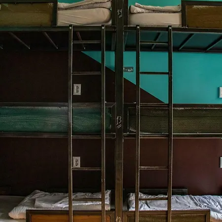 旅馆 阿姆斯特丹莱兹广场旅馆 阿姆斯特丹